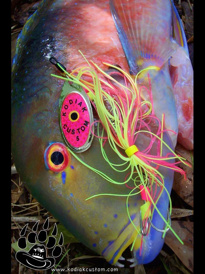 Try the best Bottom Fish Lures and catch more fish!