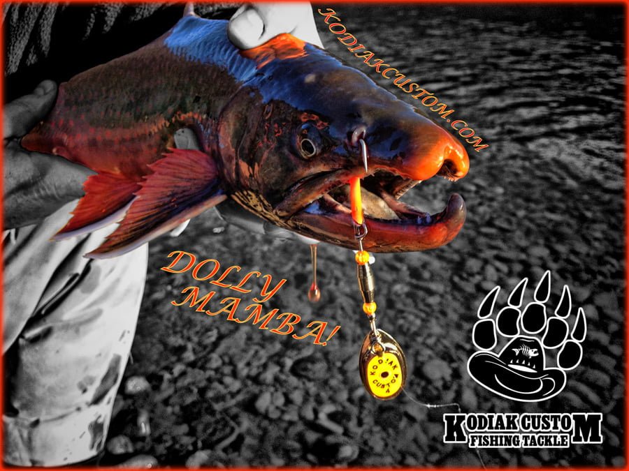 Dolly Varden Trout Kodiak Custom Fishing Tackle Kenai River Alaska