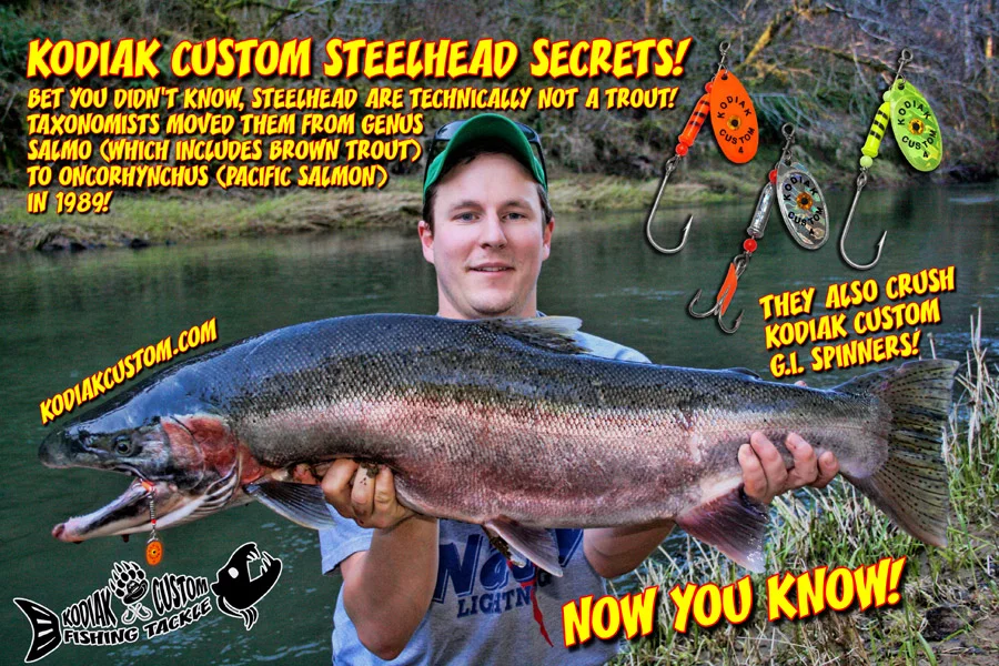 Kodiak Custom Fishing Gold Eye Spinner #4 Pink
