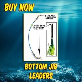 Bottom Fishing Jig Leader 24″